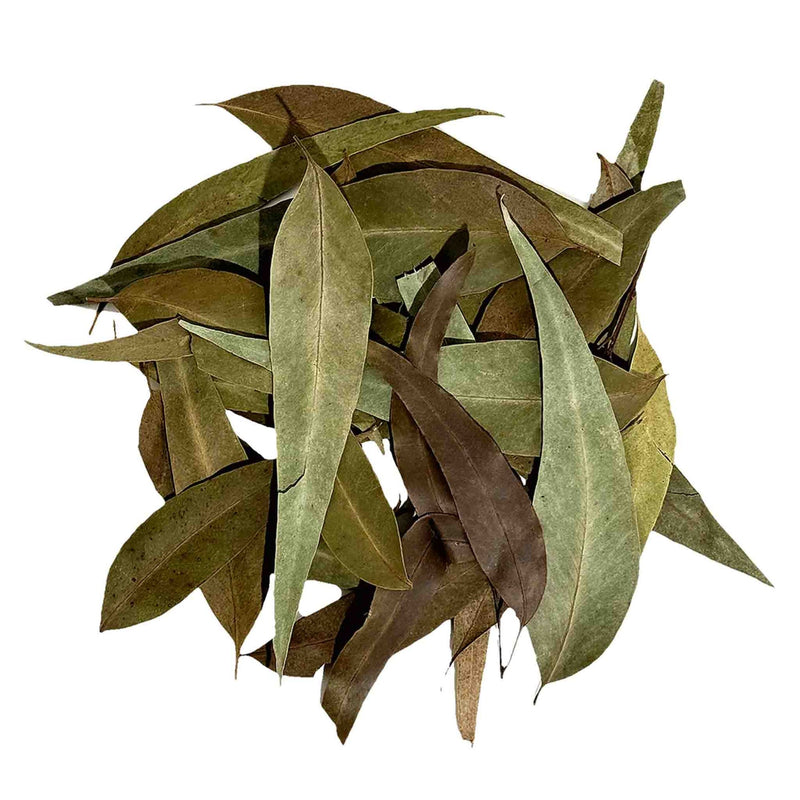 WIO Eucalyptus Leaves 20g